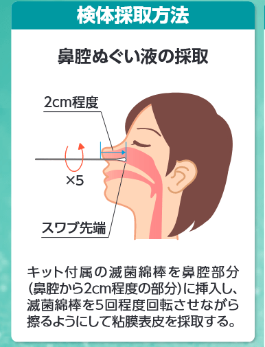 【コロナ第6波】はじめての抗原検査（鼻咽頭ぬぐい検査）